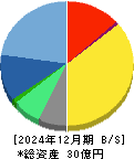 ユビキタスＡＩ 貸借対照表 2024年12月期