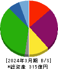 サンウェルズ 貸借対照表 2024年3月期