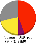 CaSy 損益計算書 2020年11月期 CaSy 損益計算書 2020年11月期