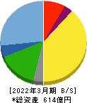 丸八ホールディングス 貸借対照表 2022年3月期 丸八ホールディングス 貸借対照表 2022年3月期