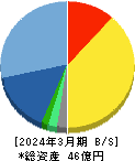 ＷＤＢココ 貸借対照表 2024年3月期
