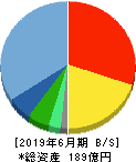 ウェルネット 貸借対照表 2019年6月期 ウェルネット 貸借対照表 2019年6月期