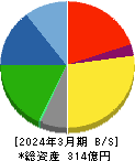 竹田iPホールディングス 貸借対照表 2024年3月期 竹田iPホールディングス 貸借対照表 2024年3月期