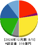 竹田ｉＰホールディングス 貸借対照表 2024年12月期