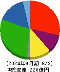 阿波製紙 貸借対照表 2024年9月期