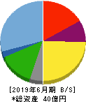 NATTY SWANKY 貸借対照表 2019年6月期 NATTY SWANKY 貸借対照表 2019年6月期