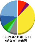 Terra Drone 貸借対照表 2025年1月期 Terra Drone 貸借対照表 2025年1月期