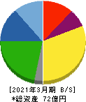 テイン 貸借対照表 2021年3月期 テイン 貸借対照表 2021年3月期