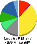 ウェルネオシュガー 貸借対照表 2024年6月期