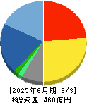 ＣＡＲＴＡ　ＨＯＬＤＩＮＧＳ 貸借対照表 2025年6月期