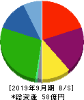 日本エコシステム 貸借対照表 2019年9月期 日本エコシステム 貸借対照表 2019年9月期