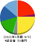 中京医薬品 貸借対照表 2022年3月期 中京医薬品 貸借対照表 2022年3月期