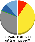 メガチップス 貸借対照表 2024年3月期