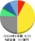 ＳＢＩグローバルアセットマネジメント 貸借対照表 2024年6月期