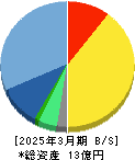 True Data 貸借対照表 2025年3月期 True Data 貸借対照表 2025年3月期