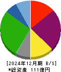 ＡＩＡＩグループ 貸借対照表 2024年12月期