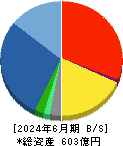 電算システムホールディングス 貸借対照表 2024年6月期