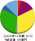 トライアイズ 貸借対照表 2020年12月期 トライアイズ 貸借対照表 2020年12月期