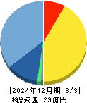 ティアンドエスグループ 貸借対照表 2024年12月期