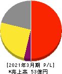 レアジョブ 損益計算書 2021年3月期 レアジョブ 損益計算書 2021年3月期