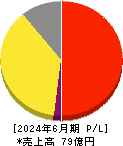 アイリックコーポレーション 損益計算書 2024年6月期 アイリックコーポレーション 損益計算書 2024年6月期