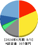 ソフトクリエイトホールディングス 貸借対照表 2024年6月期 ソフトクリエイトホールディングス 貸借対照表 2024年6月期