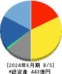 ＳＲＡホールディングス 貸借対照表 2024年6月期