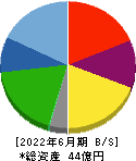 アミタホールディングス 貸借対照表 2022年6月期