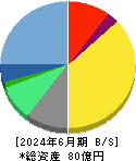 ＯＤＫソリューションズ 貸借対照表 2024年6月期