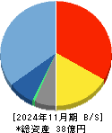 チームスピリット 貸借対照表 2024年11月期