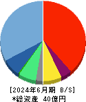 ｉ－ｐｌｕｇ 貸借対照表 2024年6月期