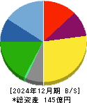 サイネックス 貸借対照表 2024年12月期