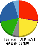 川崎地質 貸借対照表 2019年11月期 川崎地質 貸借対照表 2019年11月期