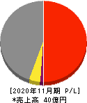 AHCグループ 損益計算書 2020年11月期 AHCグループ 損益計算書 2020年11月期