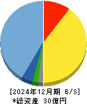 サクシード 貸借対照表 2024年12月期
