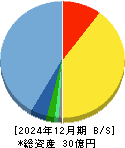 サクシード 貸借対照表 2024年12月期