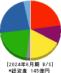 チタン工業 貸借対照表 2024年6月期