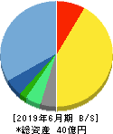 アイリックコーポレーション 貸借対照表 2019年6月期 アイリックコーポレーション 貸借対照表 2019年6月期
