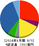 飛島ホールディングス 貸借対照表 2024年6月期 飛島ホールディングス 貸借対照表 2024年6月期