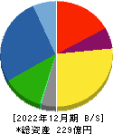 ＳＡＮＥＩ 貸借対照表 2022年12月期