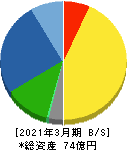 エスティック 貸借対照表 2021年3月期 エスティック 貸借対照表 2021年3月期