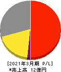 セキュアヴェイル 損益計算書 2021年3月期