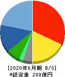 ウェルネット 貸借対照表 2020年6月期 ウェルネット 貸借対照表 2020年6月期