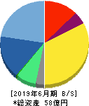 テックファームホールディングス 貸借対照表 2019年6月期