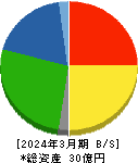 CAPITA 貸借対照表 2024年3月期 CAPITA 貸借対照表 2024年3月期