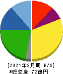 テイン 貸借対照表 2021年3月期