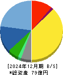 アイサンテクノロジー 貸借対照表 2024年12月期