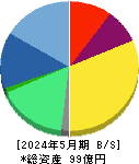 テクミラホールディングス 貸借対照表 2024年5月期