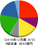 TOYO TIRE 貸借対照表 2018年12月期 TOYO TIRE 貸借対照表 2018年12月期