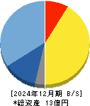 セキュアヴェイル 貸借対照表 2024年12月期